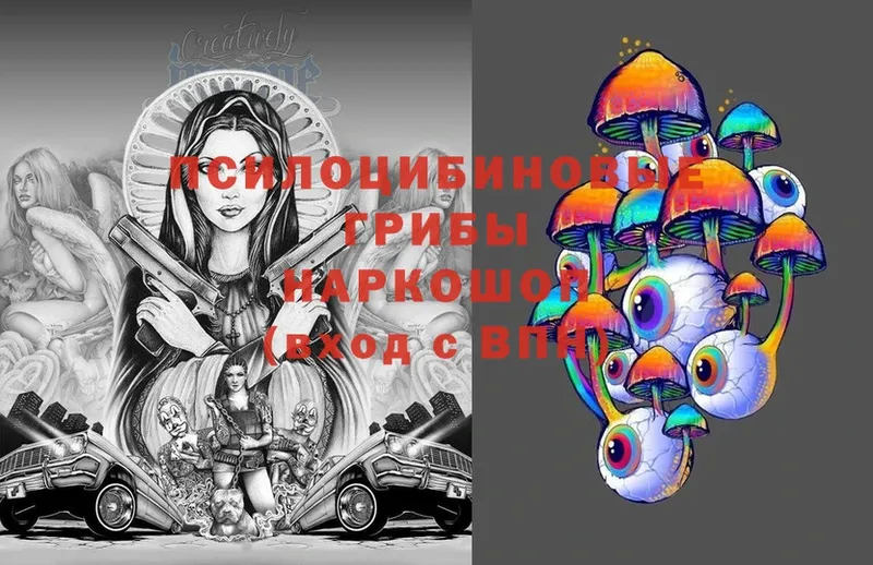 Псилоцибиновые грибы Magic Shrooms  Болохово 